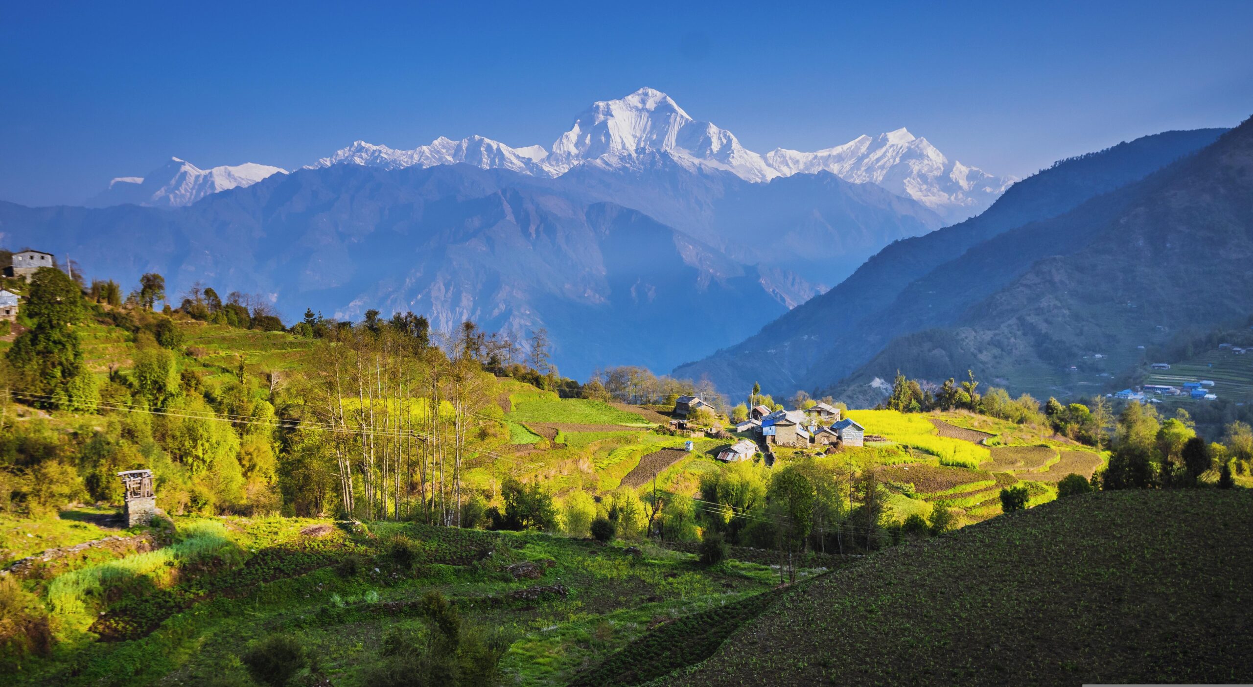 Luxury Annapurna Base Camp Trek