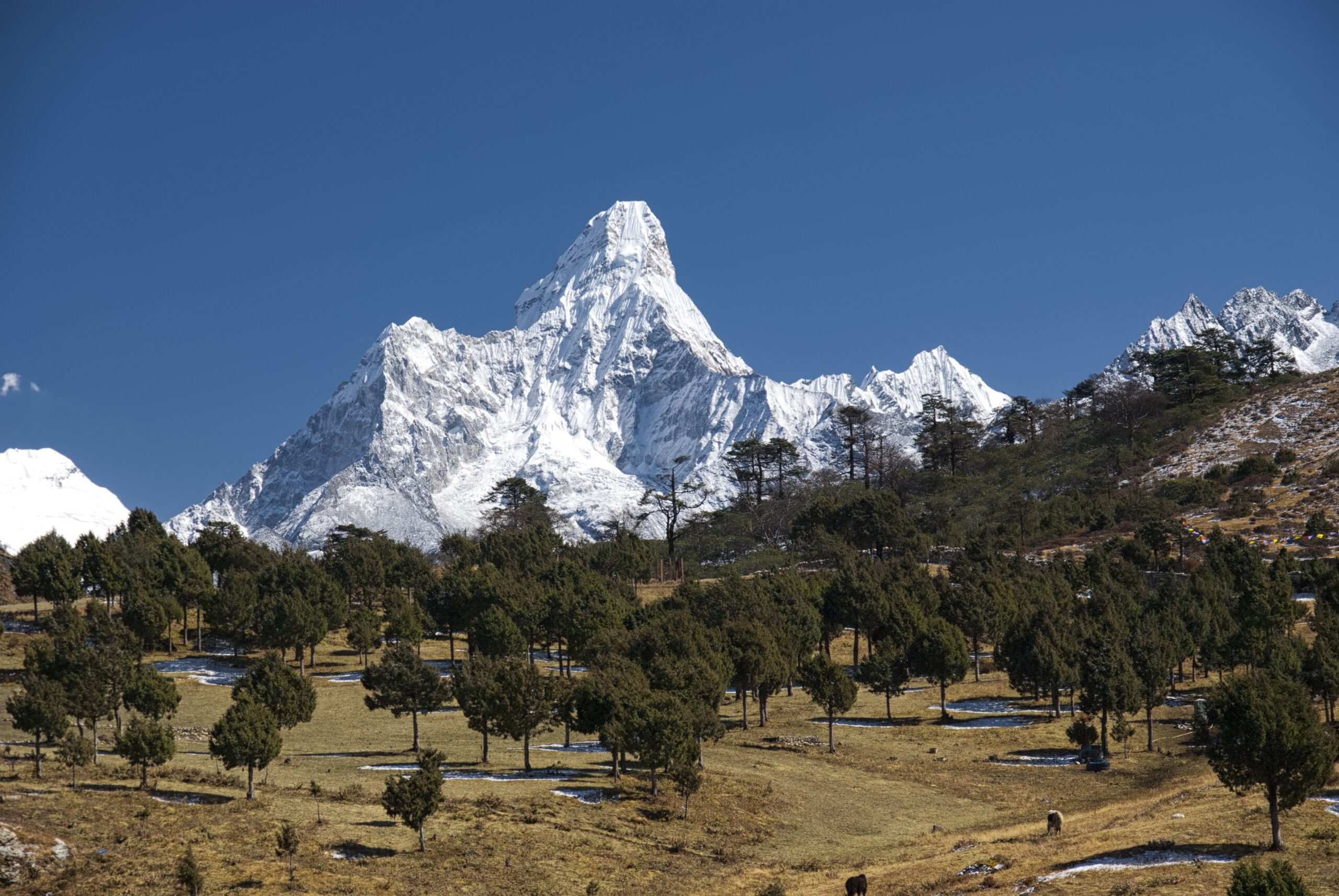 Everest Panorama Trek
